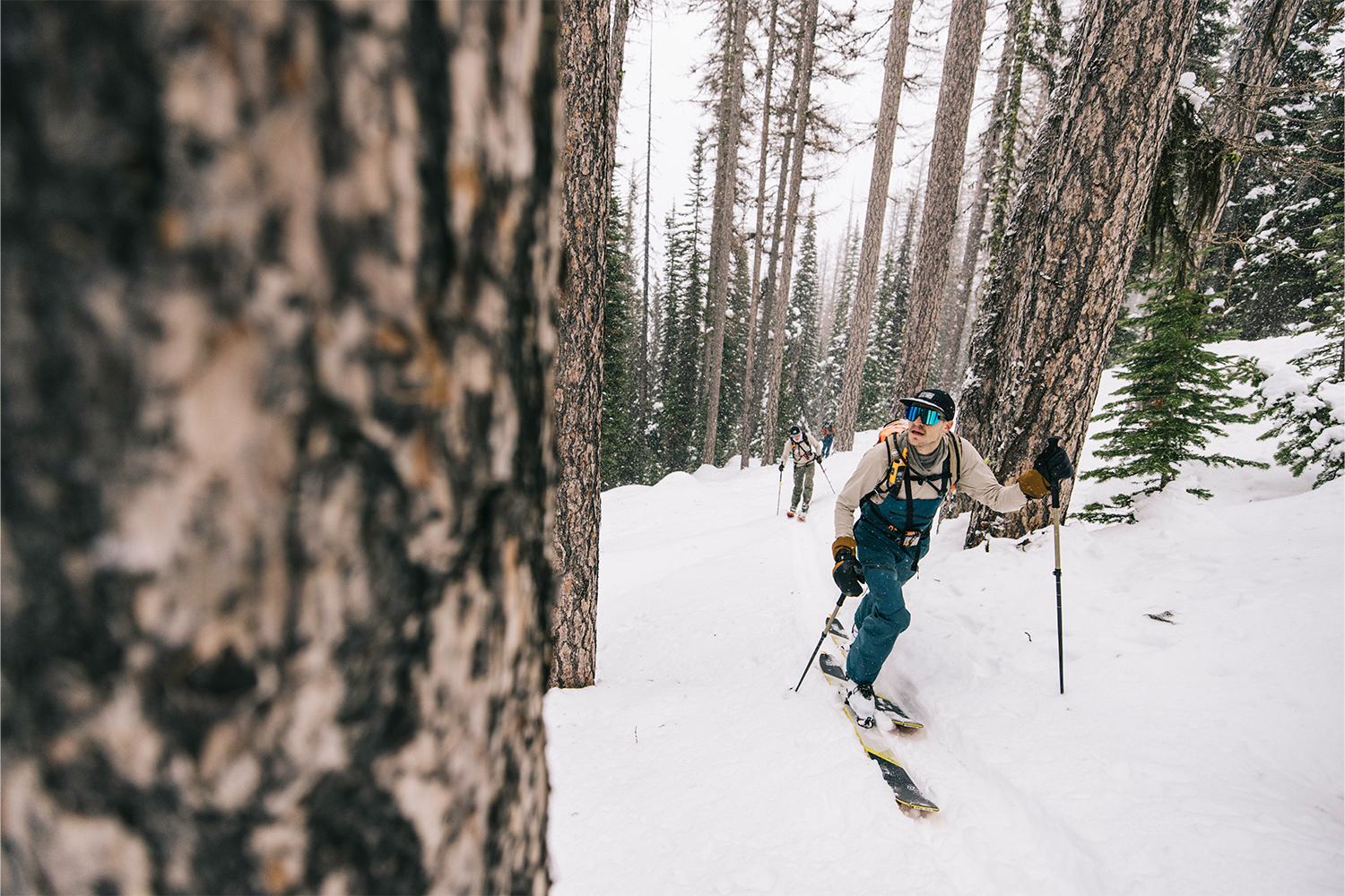 A pair of skiers walk through the woods, looking around in awe.
