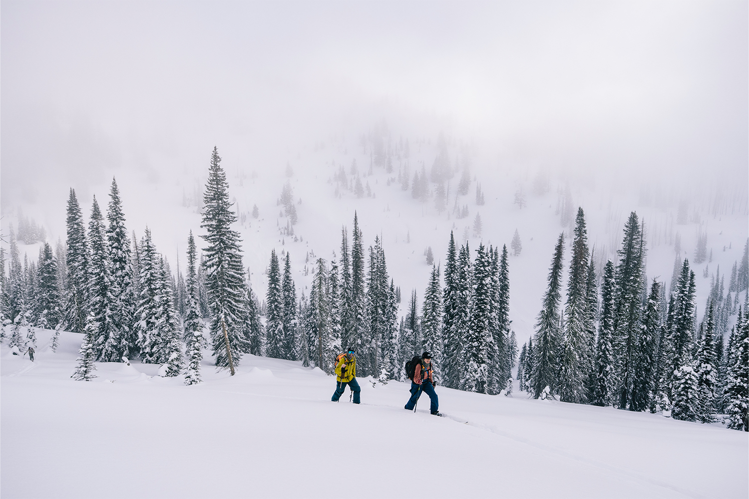 A pair of skiers walking through the snow, trees in the background.