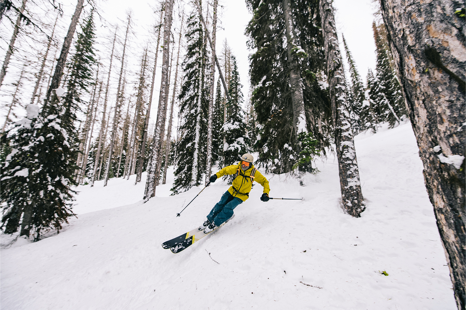 A skier carves through a forest.