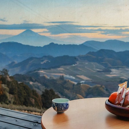 Tea tourism is on the rise in Suruga.