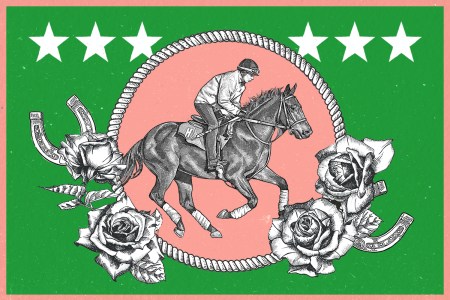 a pink and green illustration of an equestrian on a horse with roses and horseshoes around it