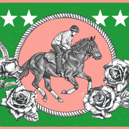 a pink and green illustration of an equestrian on a horse with roses and horseshoes around it