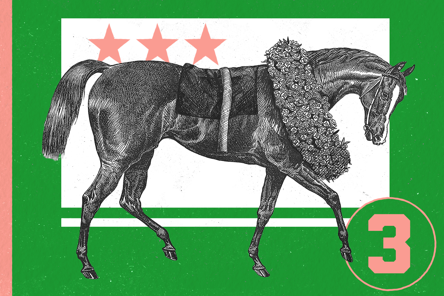 an illustration of a horse wearing a flower wreath on a green and white background with pink stars