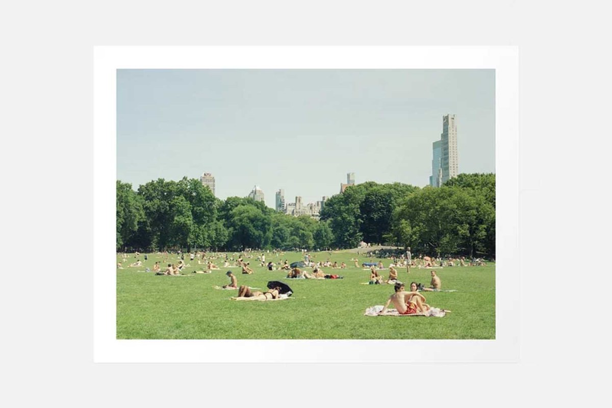 Analog Postal Summer in Central Park New York City 35mm Film Photography Art Print