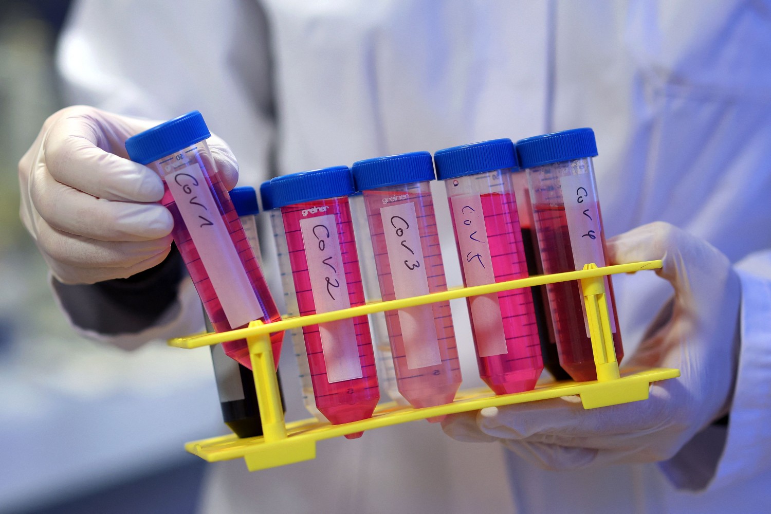 COVID samples in a lab