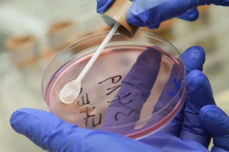 Researchers Found Promising Antibiotic In Garden Soil