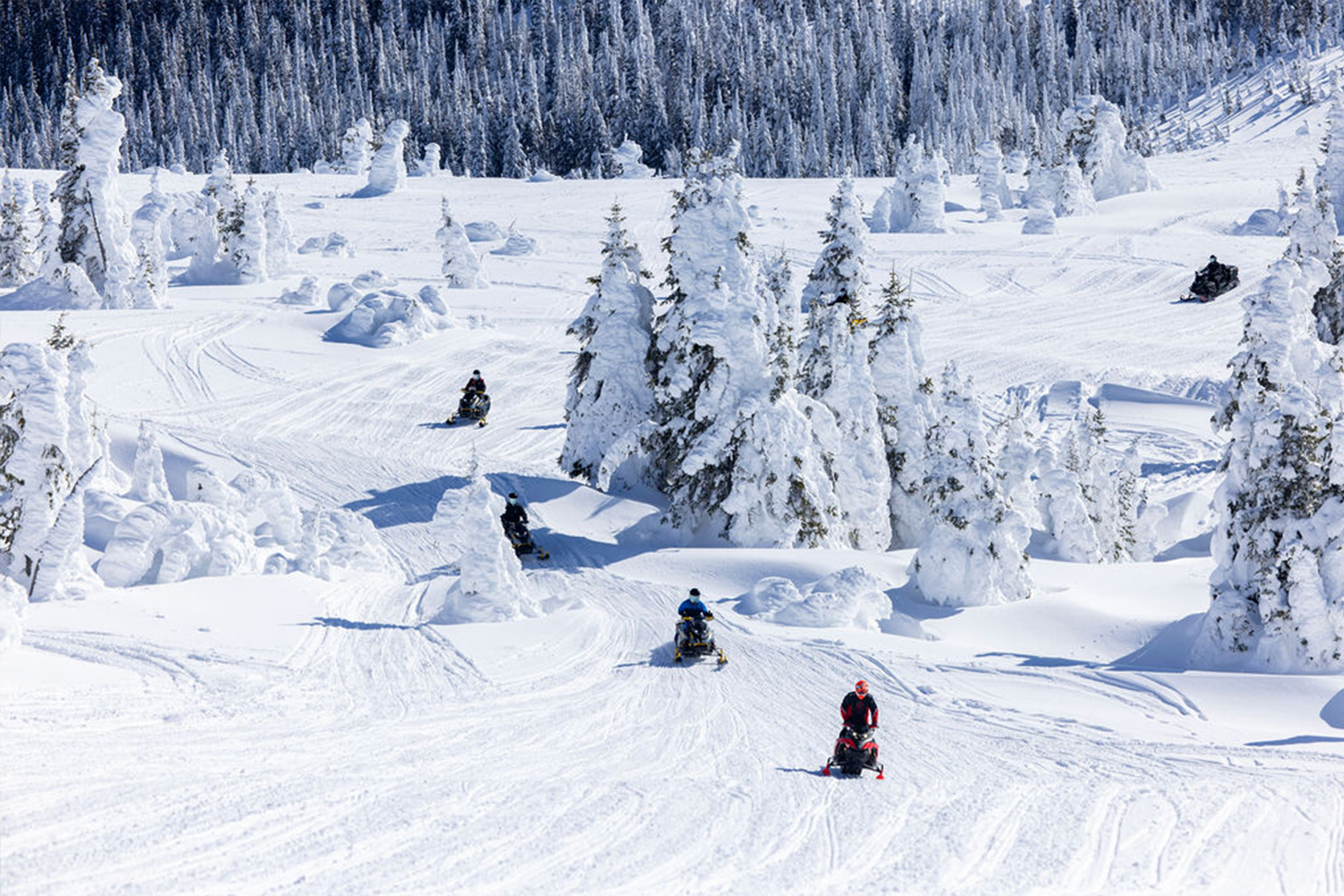 Skip the crowds, hit the powder.
