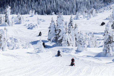 Skip the crowds, hit the powder.