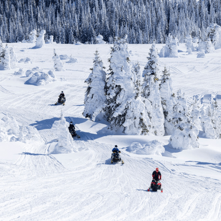 Skip the crowds, hit the powder.