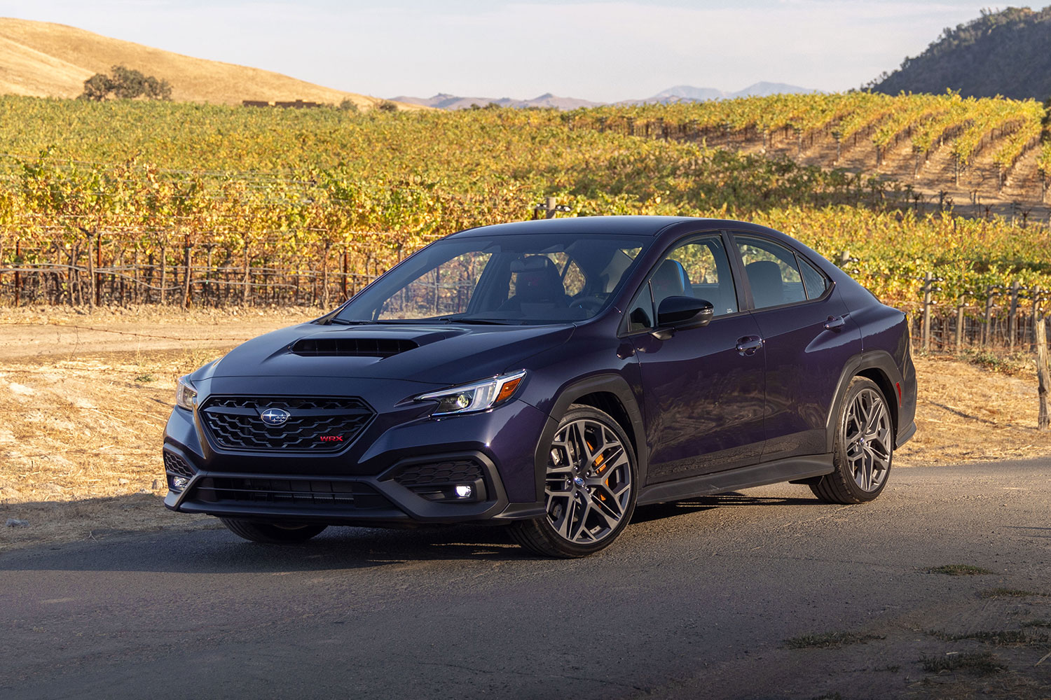 The 2025 Subaru WRX tS, a performance sedan that can also accommodate a family