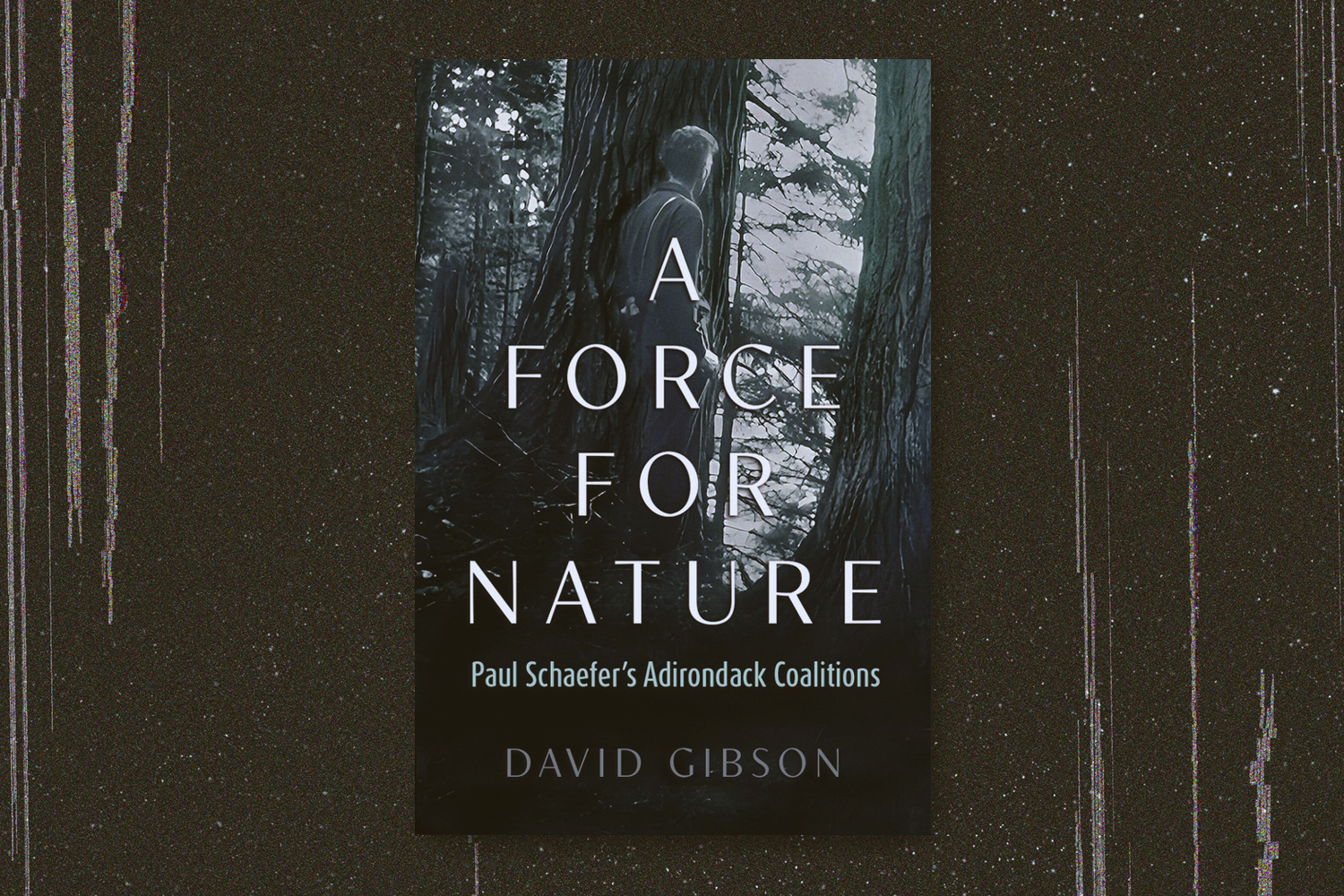 David Gibson, A Force for Nature: Paul Schaefer's Adirondack Coalitions 