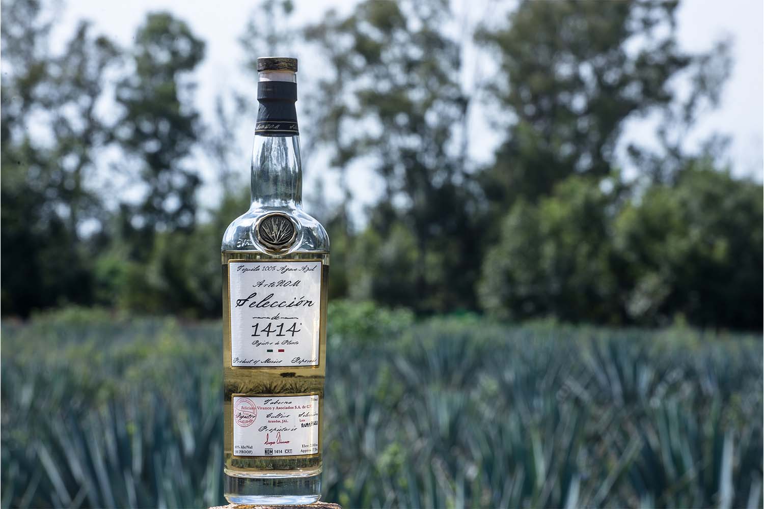 Tequila ArteNOM