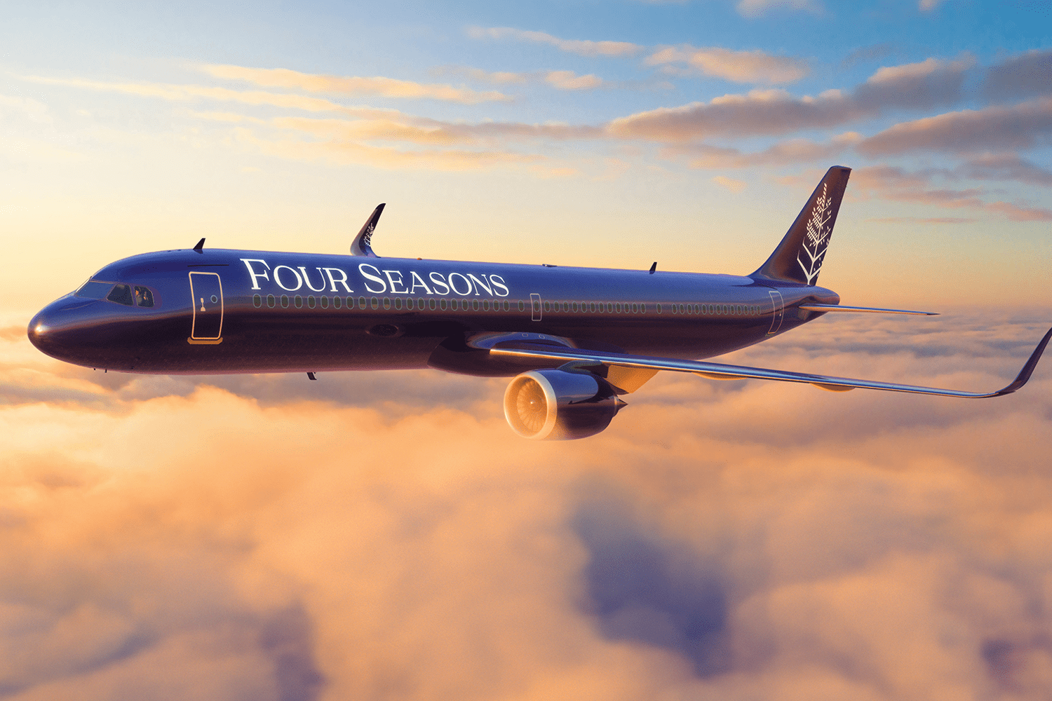 The Four Seasons Private Jet Experience