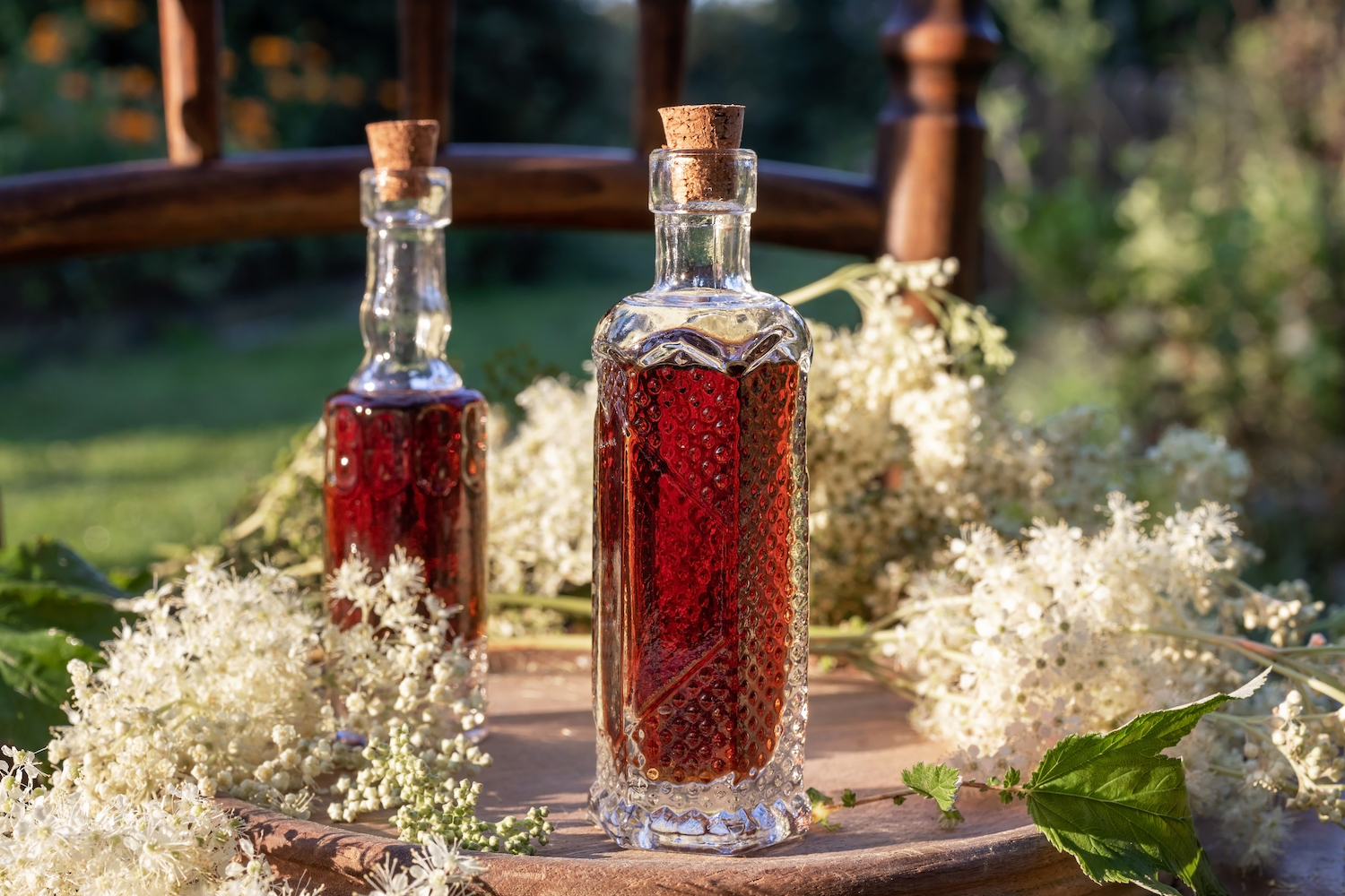 Two bottles of herbal tincture with blooming meadowsweet plant, outdoors