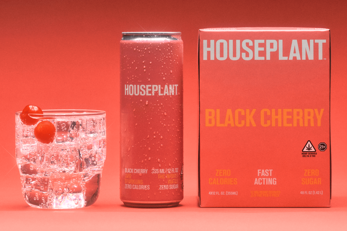 Houseplant