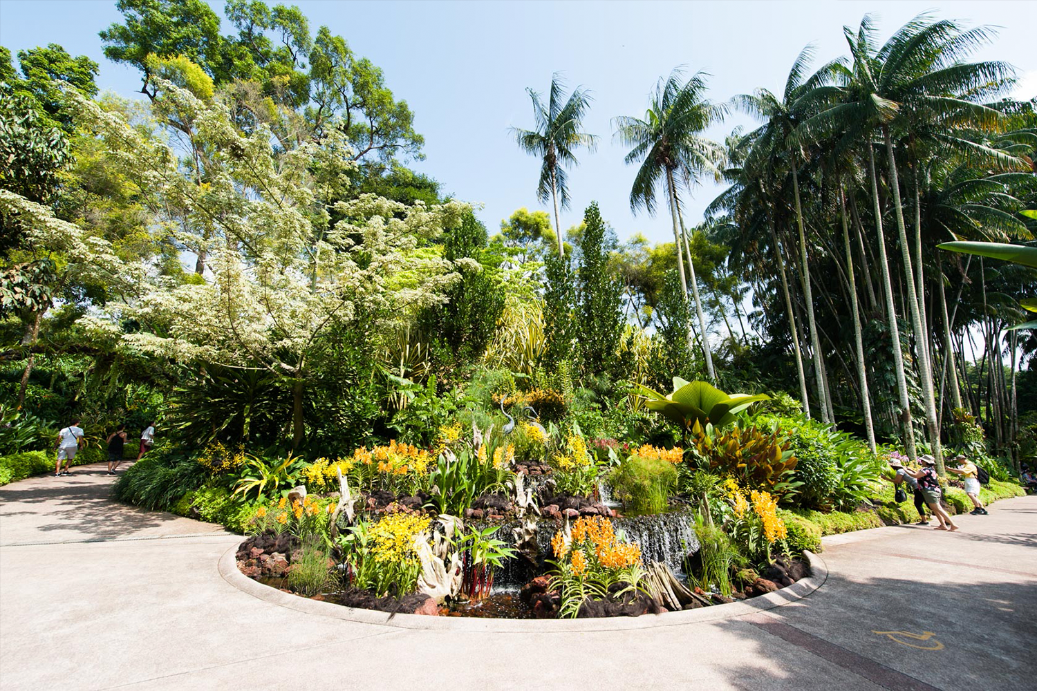 National Orchid Garden