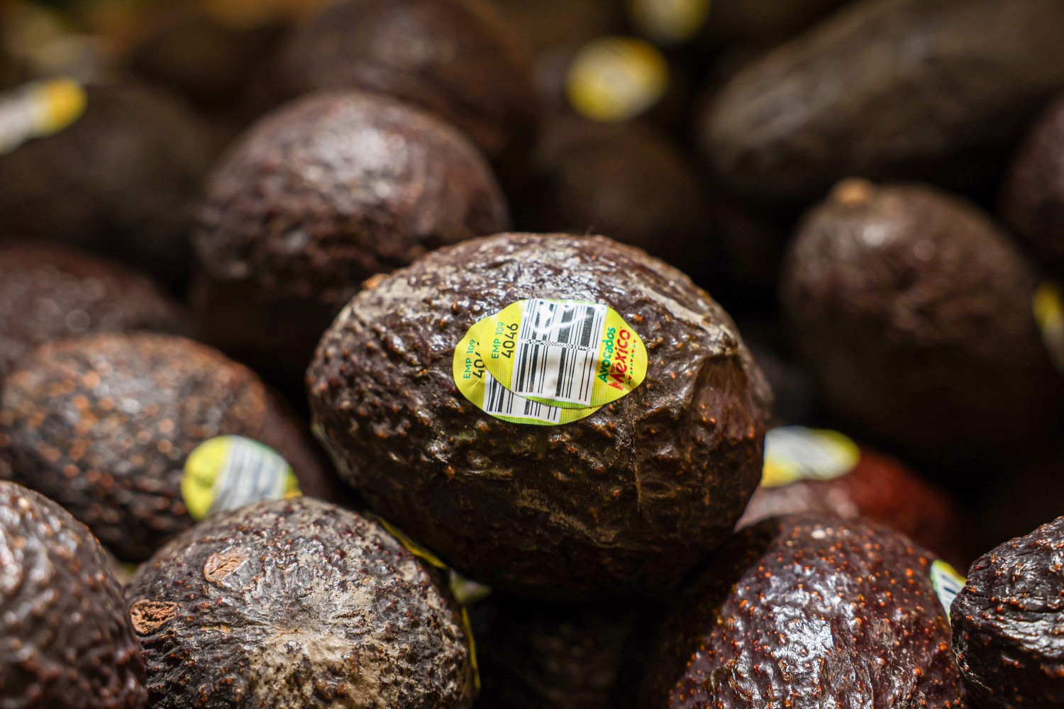Avocados