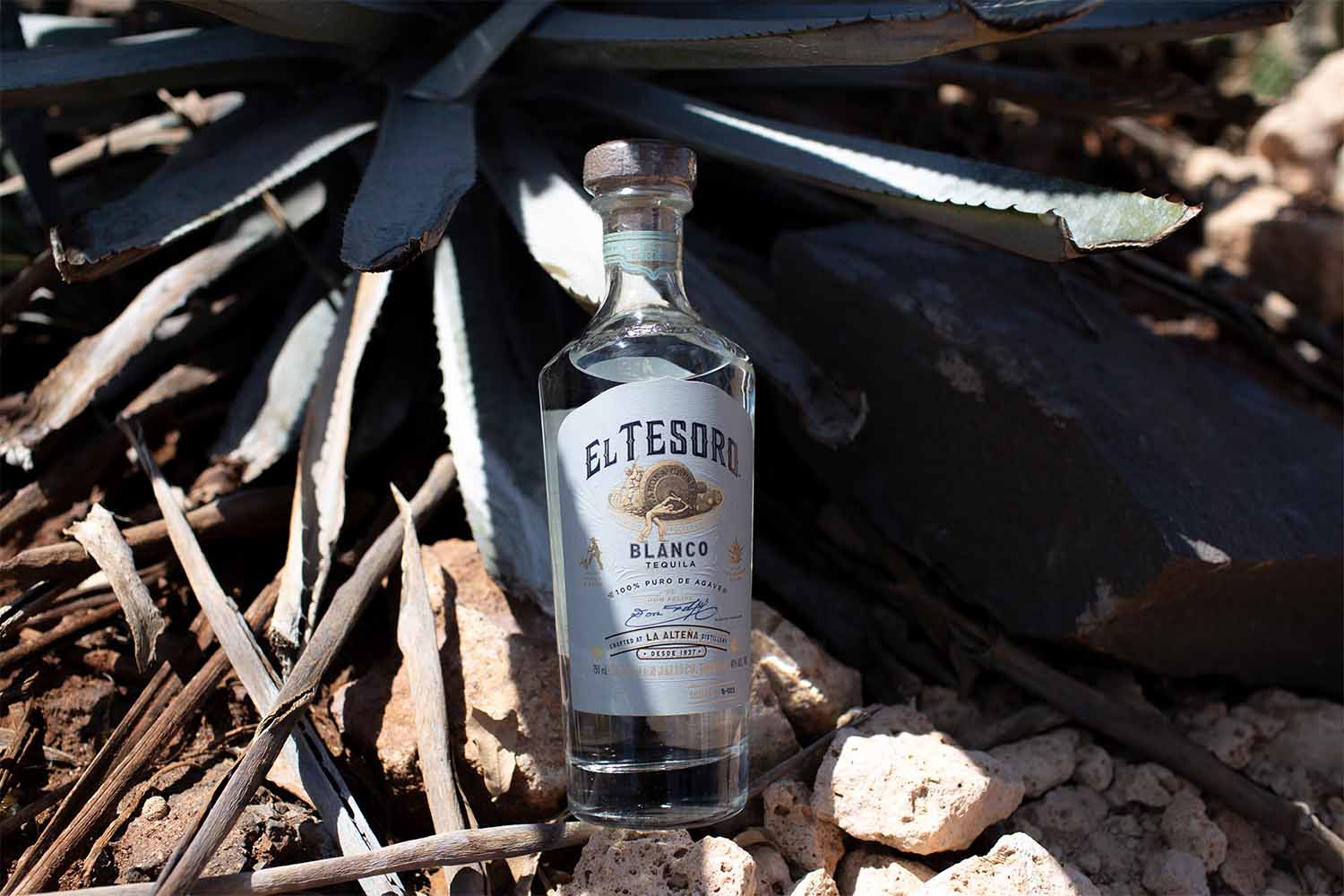 El Tesoro blanco