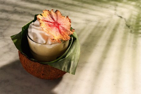 A fruity rum cocktail in a coconut shell