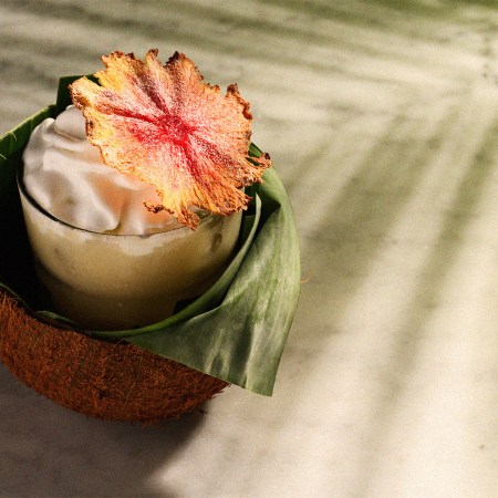A fruity rum cocktail in a coconut shell