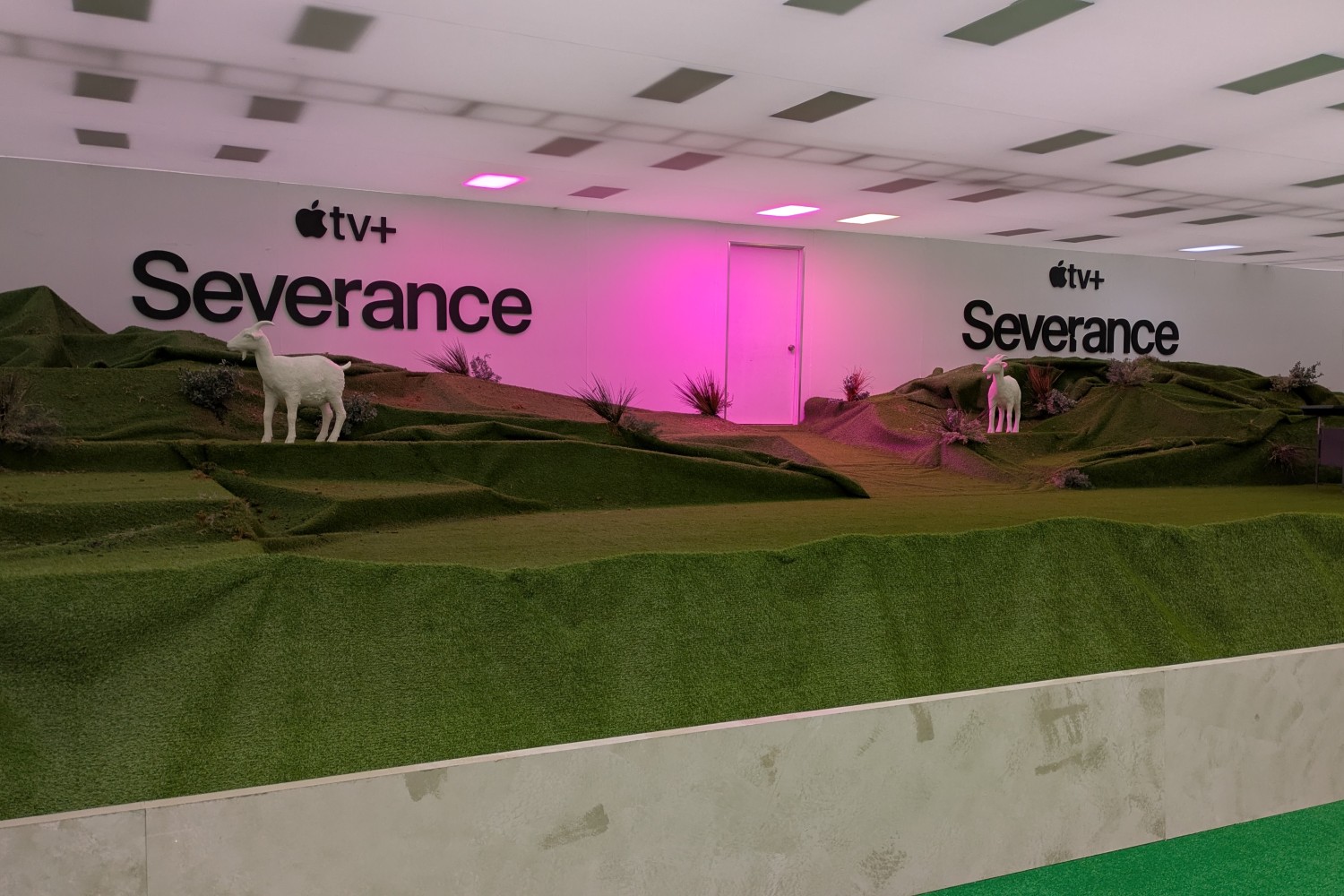 "Severance" pop-up goats