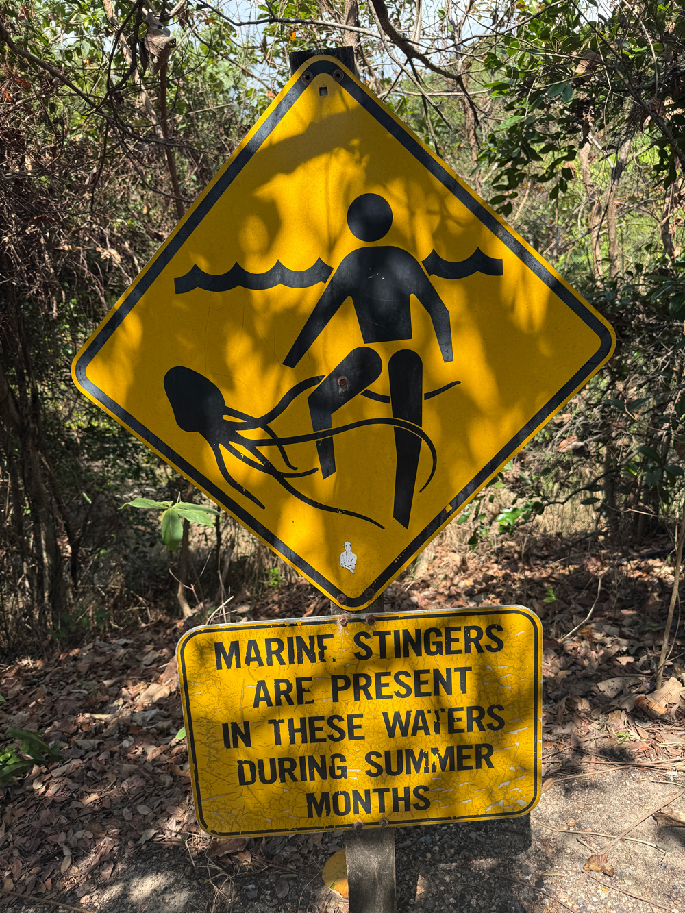 A yellow sign warning of marine stingers in the water in North Queensland, Australia