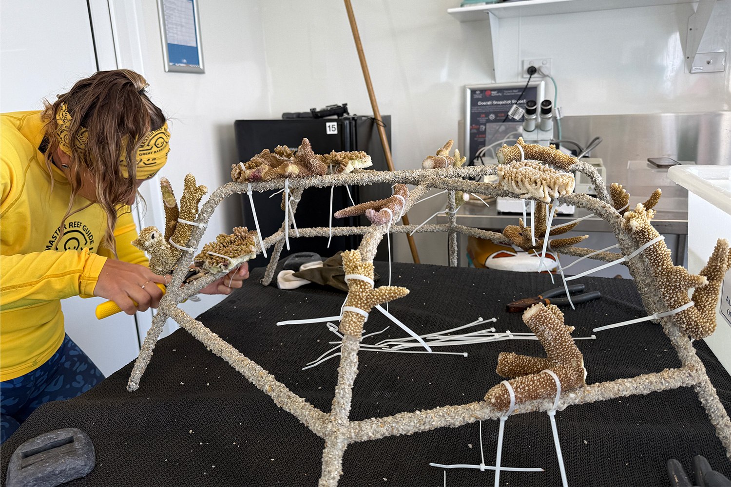 Adding pieces of coral to a MARRS reef star before dropping in the ocean among the Great Barrier Reef
