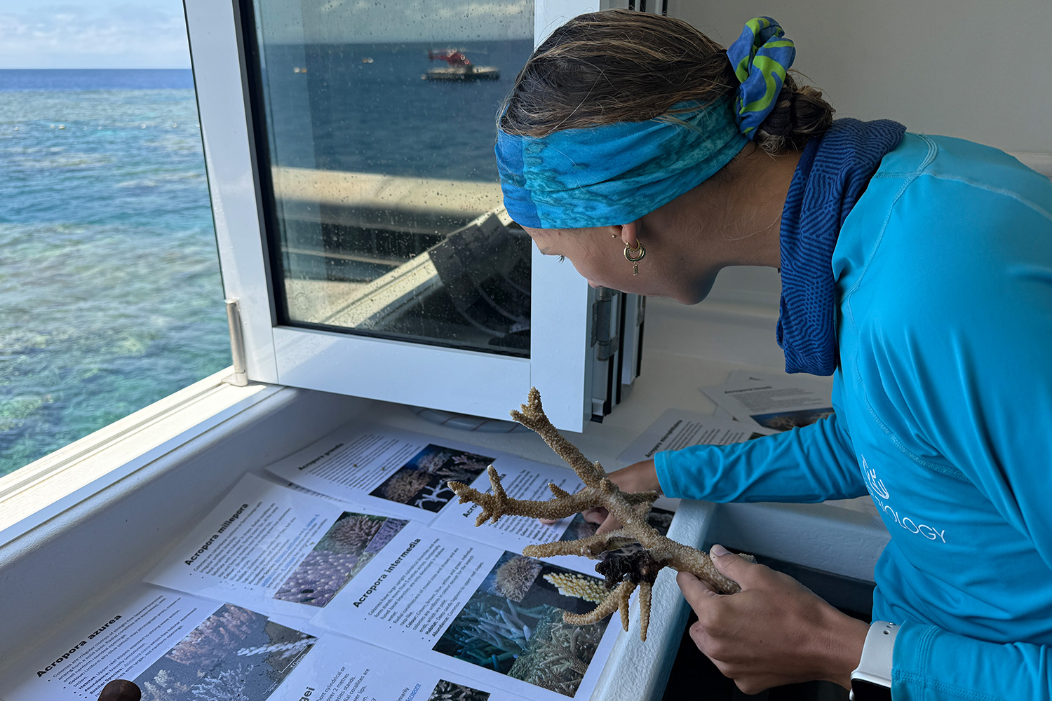 A worker with GBR Biology holds a piece of coral before attaching it to a MARRS apparatus