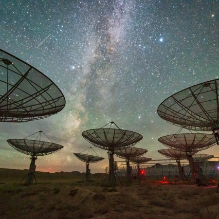 Satellite dish array