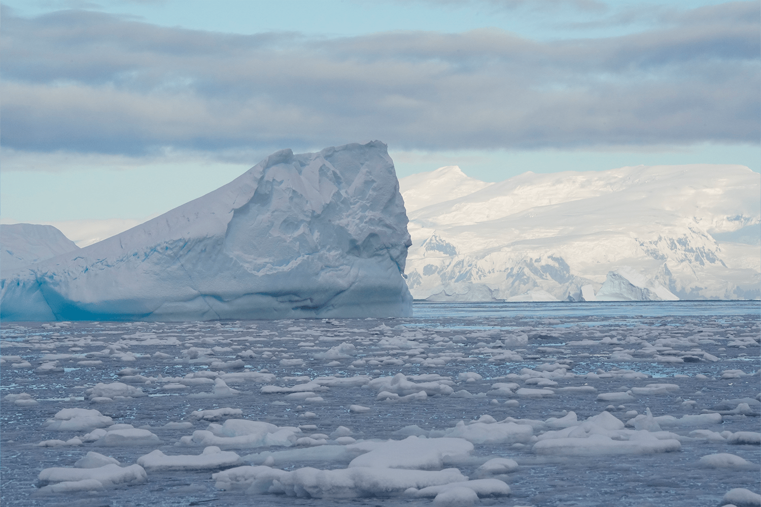 Scenes from the White Continent