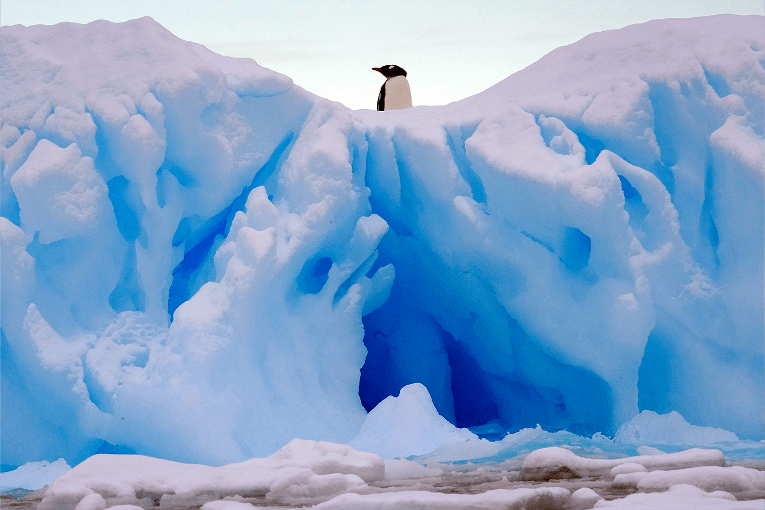 Scenes from the White Continent