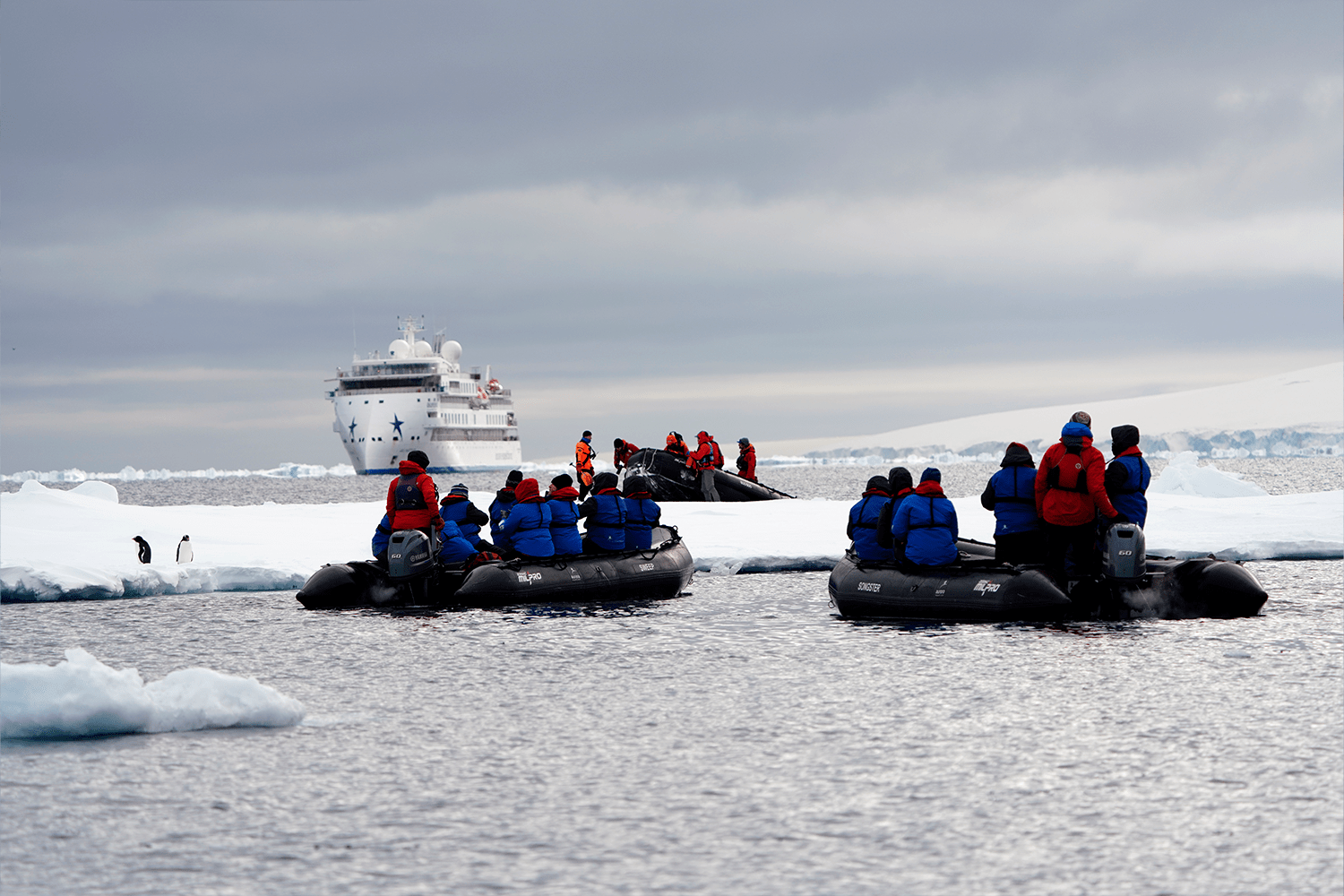 Scenes from the White Continent