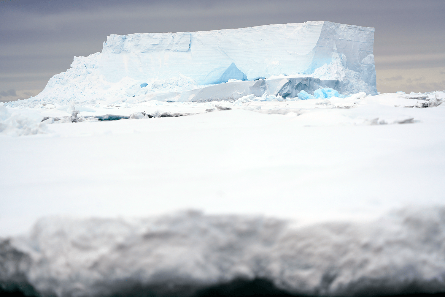 Scenes from the White Continent