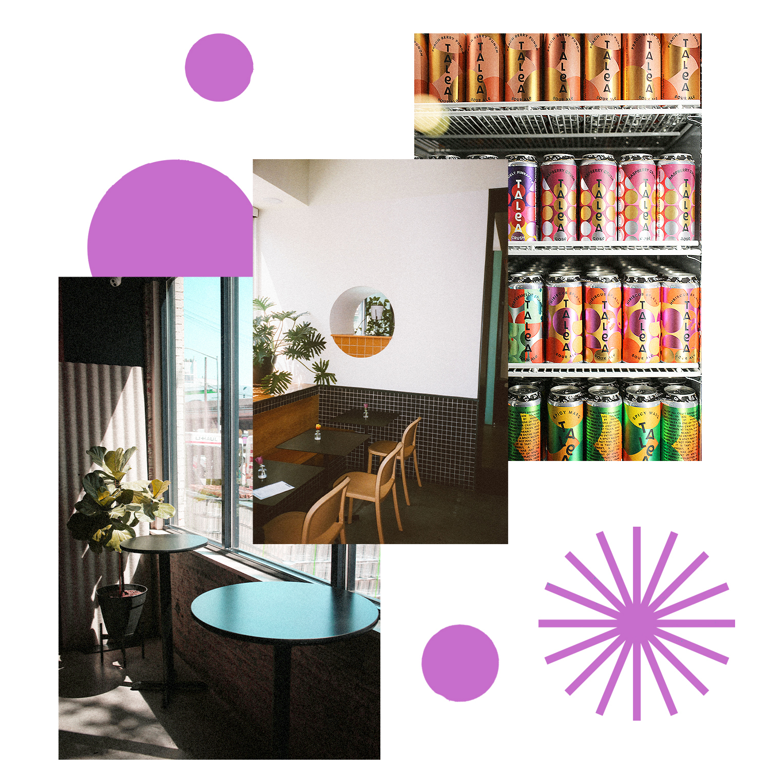Photos of a Talea Beer Co. taproom and the cans of beer stocked in their refrigerator