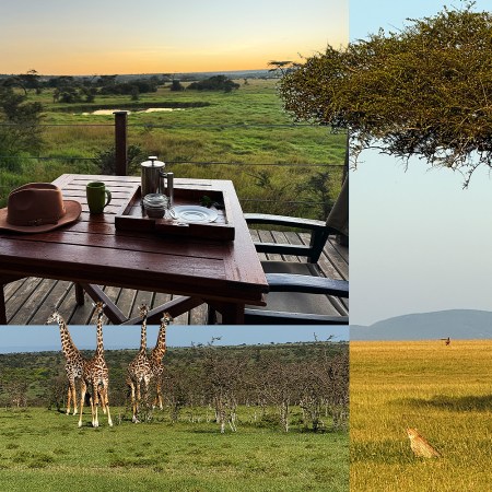 Giraffes and cheetahs seen on a safari in the Naboisho Conservancy in Kenya. The top left photo shows the view from a tent at a camp run by Saruni Basecamp.