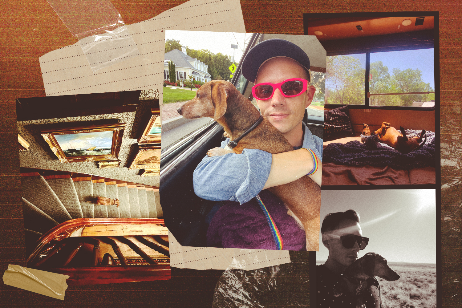Man's best friend is also man's best travel companion
