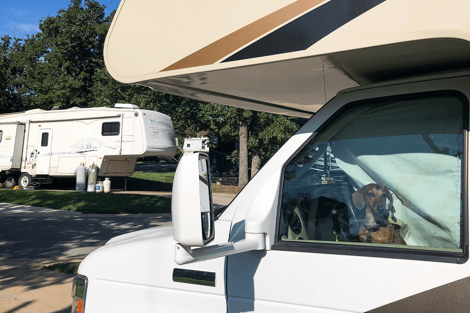 Finn in his RV life era