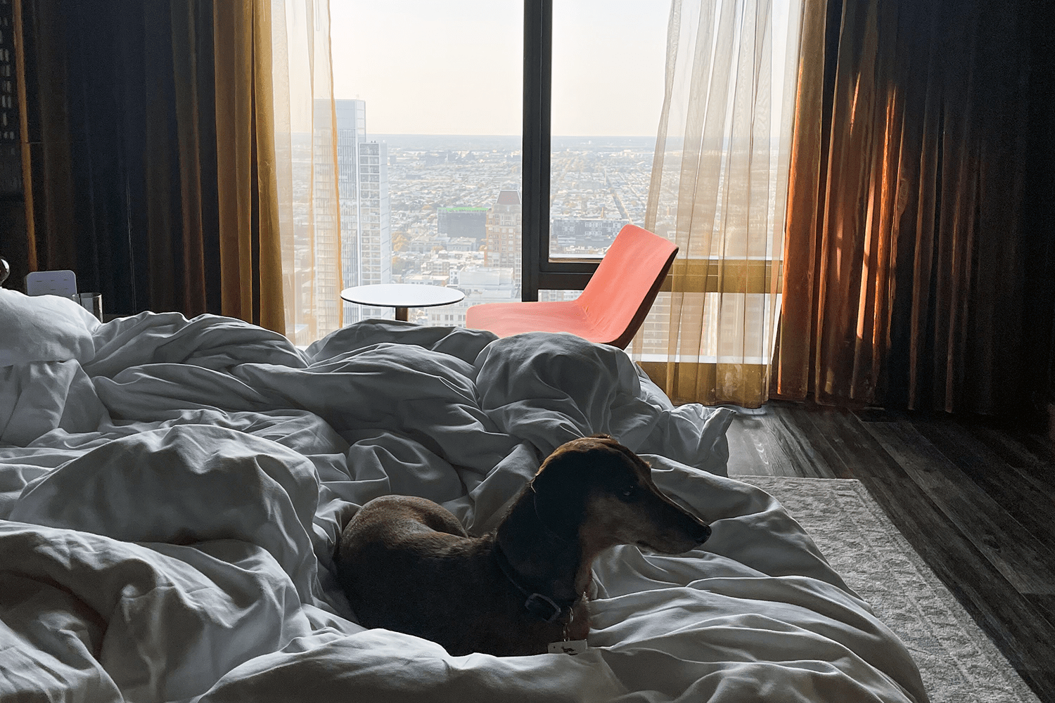 Big hotel guy