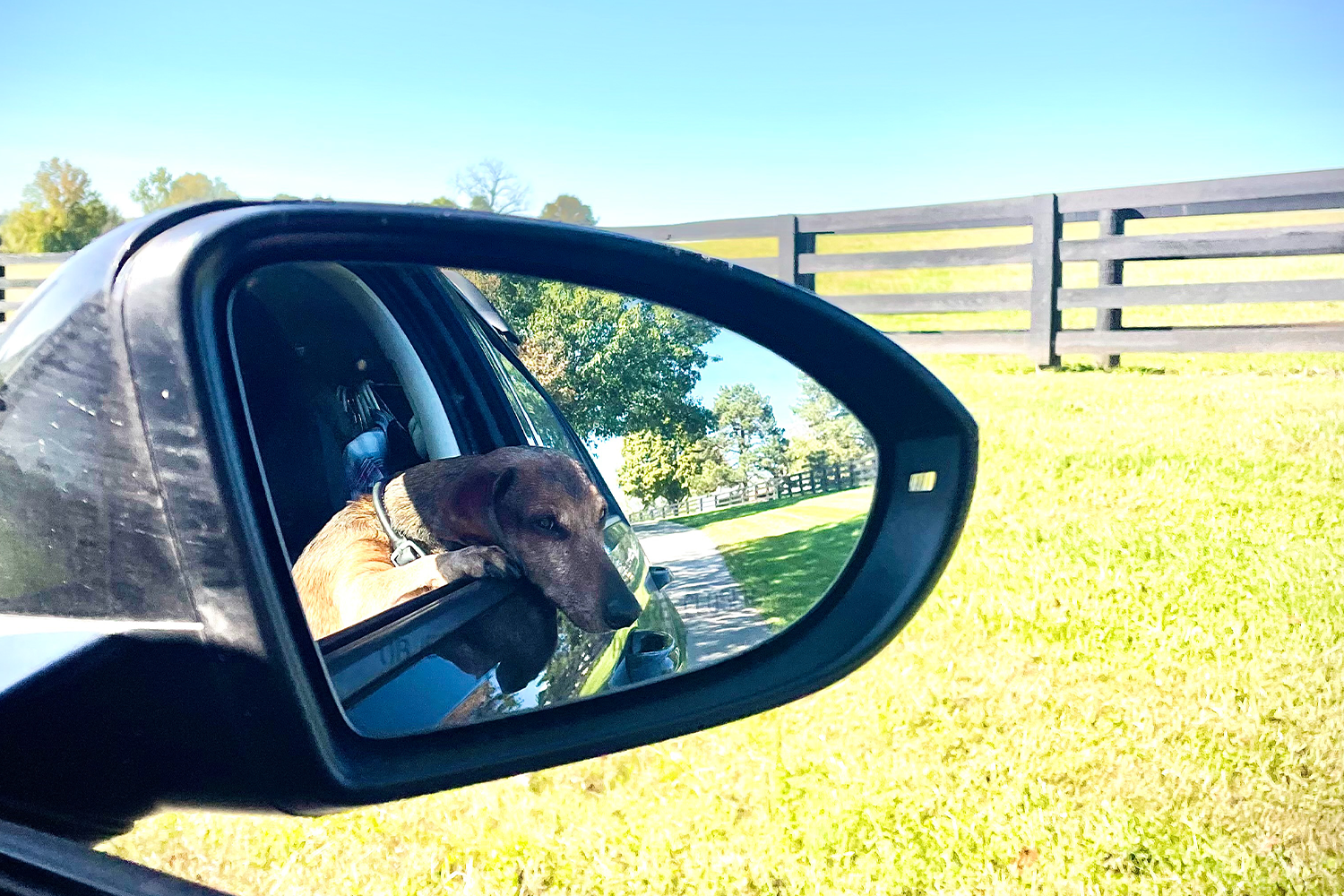 Taking it all in