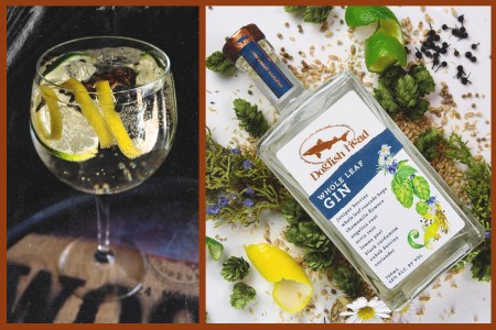a gin and tonic and bottle of dogfish head gin next to each other