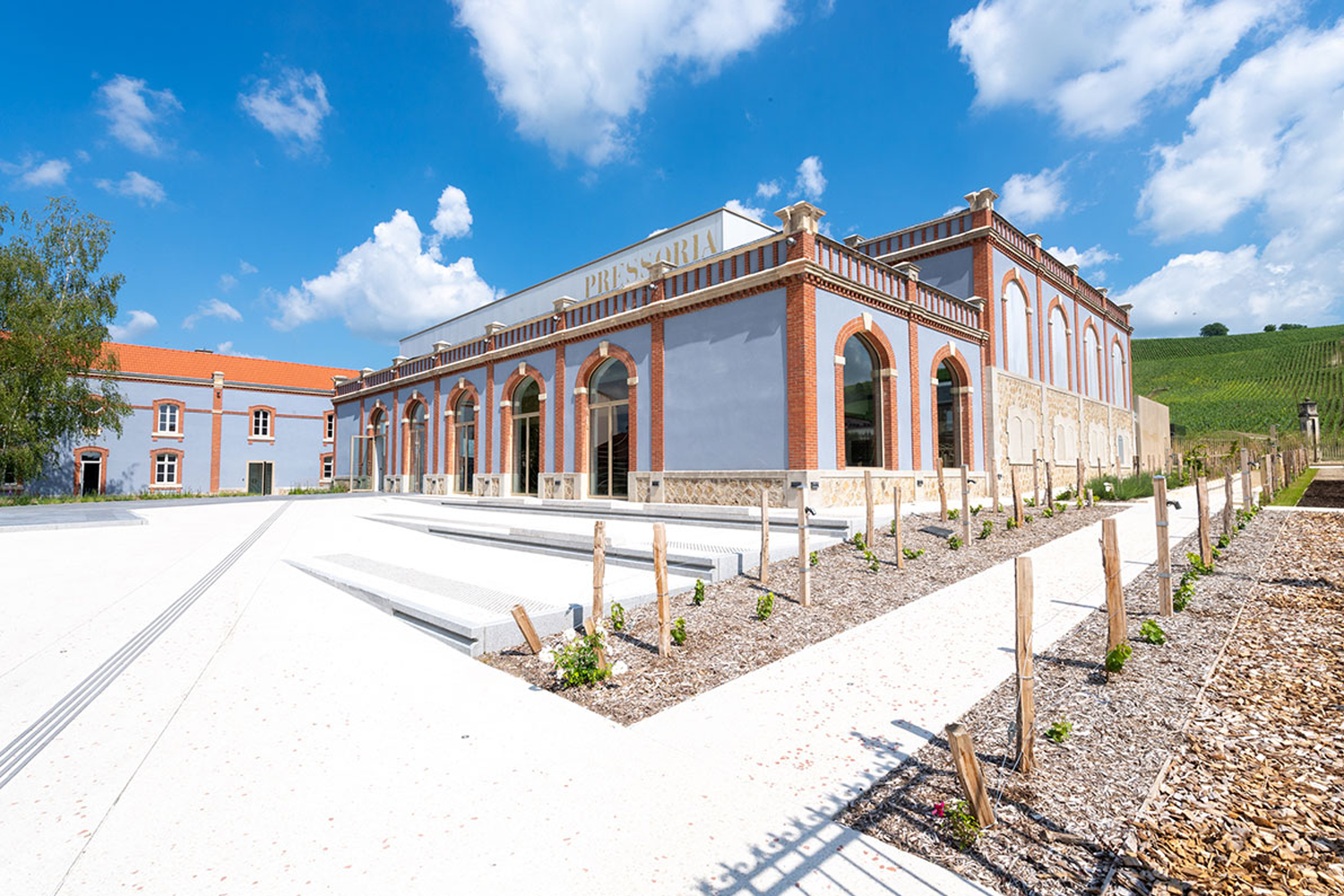 "Discover the wine of kings through your five senses" at Pressoria