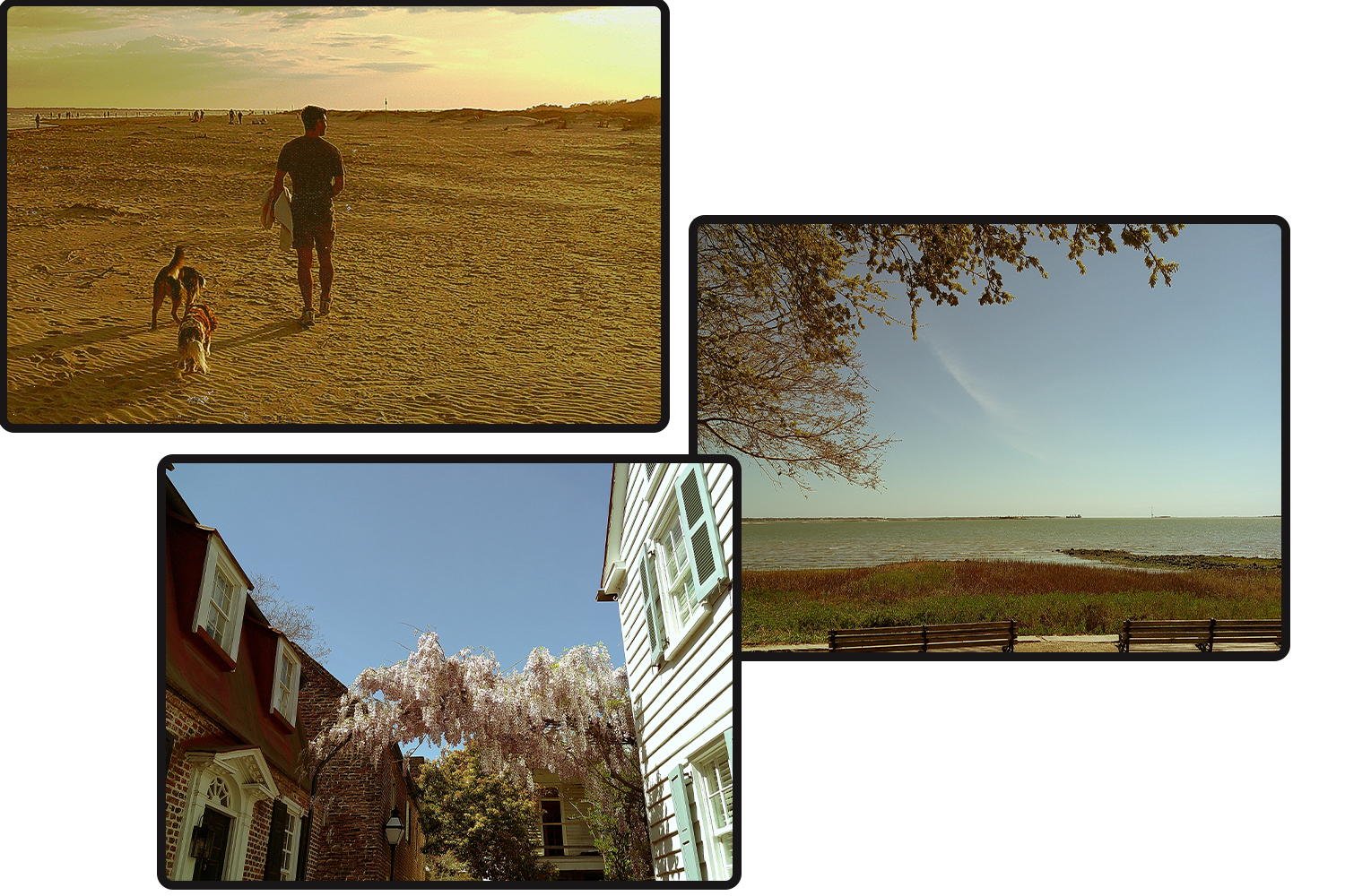 Scenes from a running vacation in Charleston.