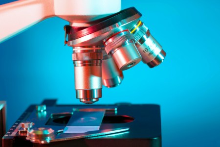 Sperm-Detecting AI Is Helping Doctors Address Infertility