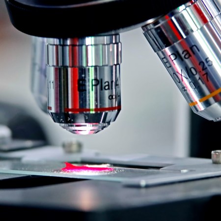 A close-up view of a microscope