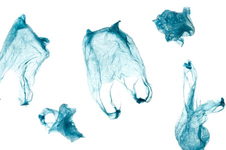 Just How Effective Are Plastic Bag Bans?