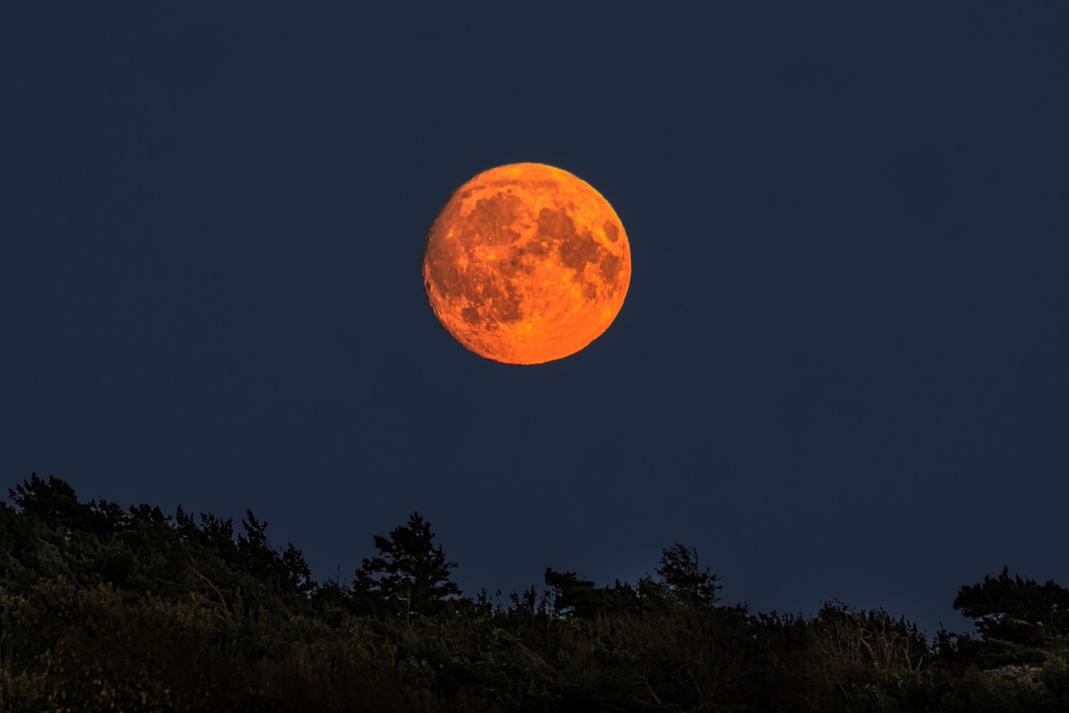 Moon rising