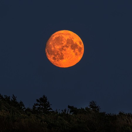 Moon rising