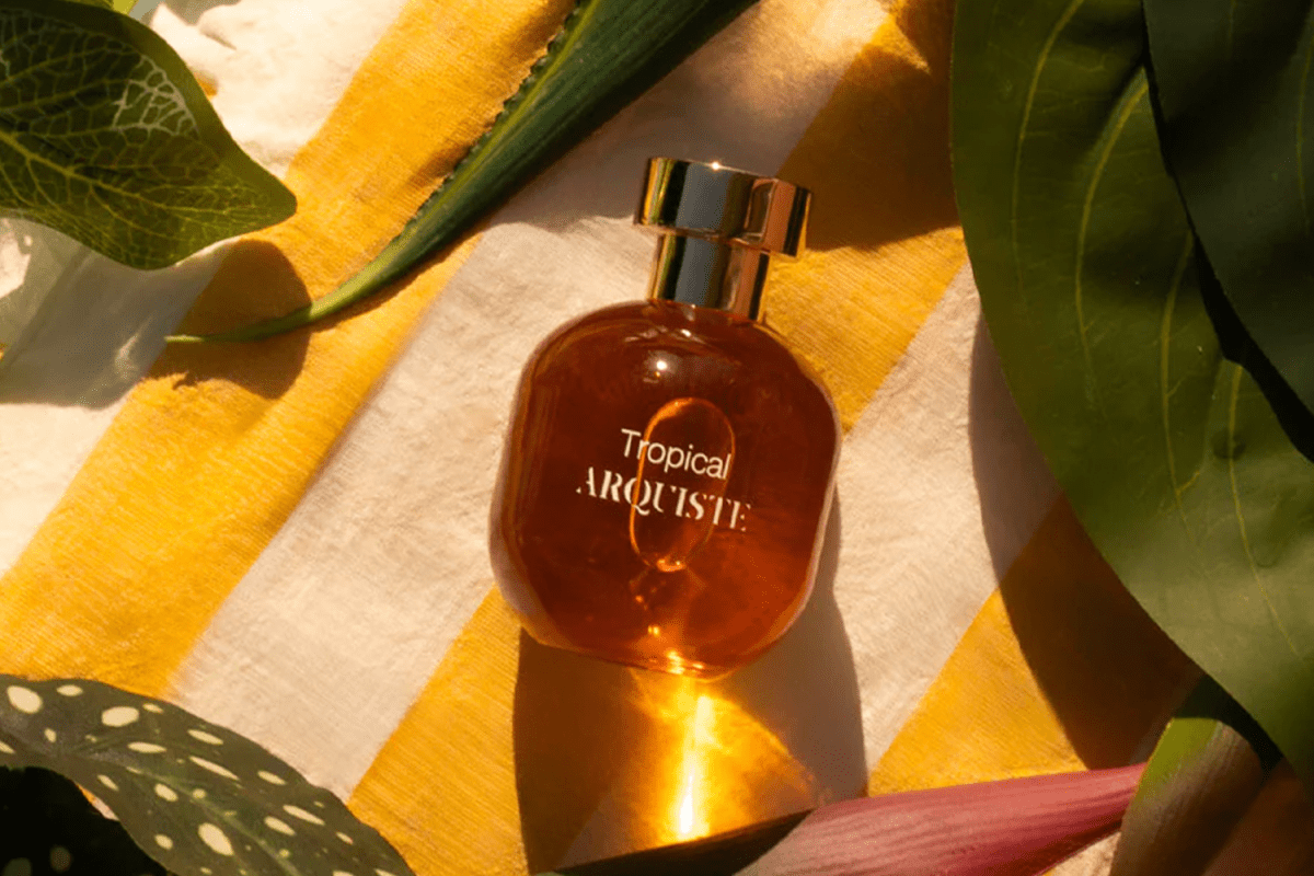 Arquiste Tropical