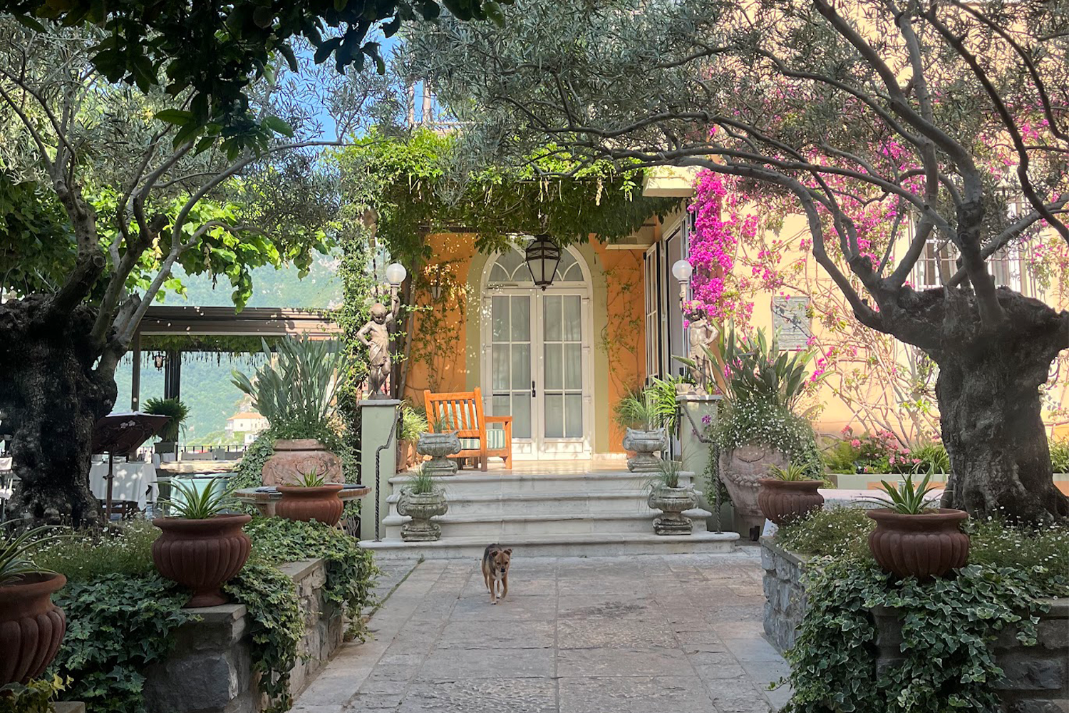 House front