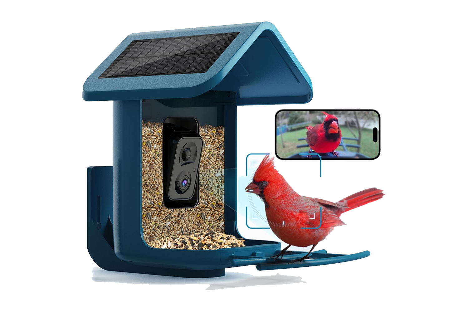 Bird Feeder With Camera Solar Powered